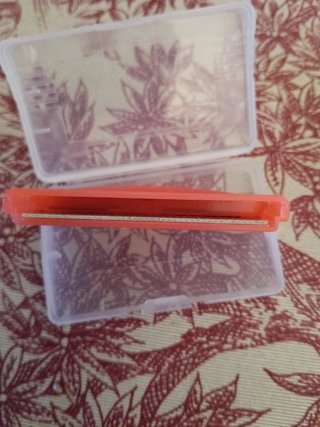 Pokémon Rojo Fuego Edición Game Boy Advance