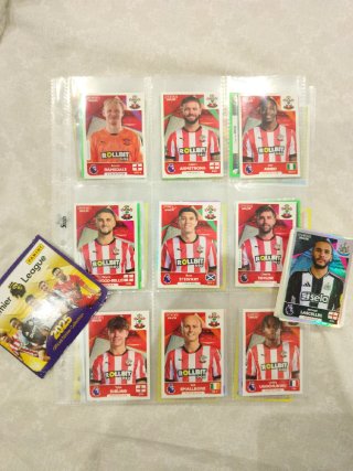 Lote Cromos Panini Premier League 2024/25