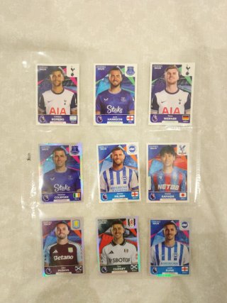 Lote Cromos Panini Premier League 2024/25