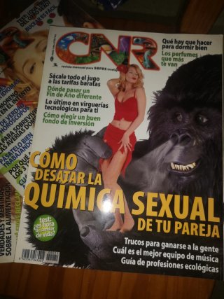 Lote 21 revistas CNR