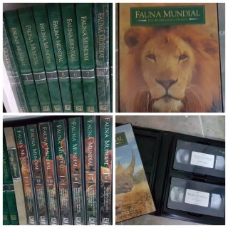 Coleccion Félix Rodríguez de la Fuente Libros+VHS