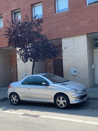 Peugeot 206 2006