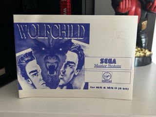 Wolfchild Sega Master System
