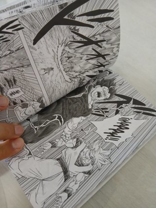 Dragon Ball Super no 19