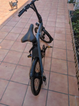 Bicicleta Eléctrica Fiido D11