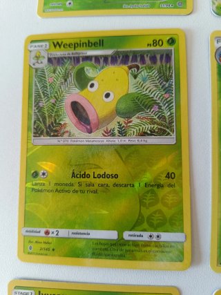 Lote Pokémon Planta EX Holo Reverse