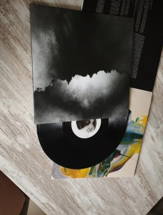 Vinilo The National  Trouble Will Find Me.