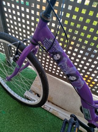 Bicicleta Morada