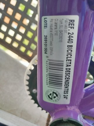 Bicicleta Morada