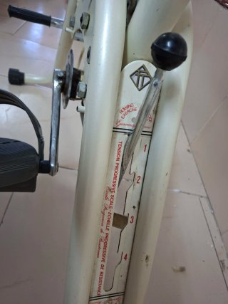 Bicicleta Estática Torrot