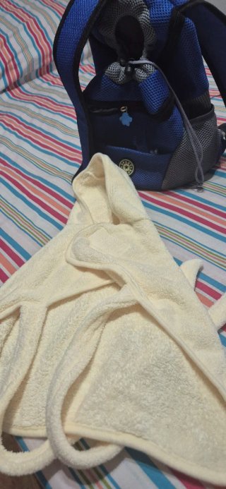 Mochila transportín perro pequeño y regalo alborno