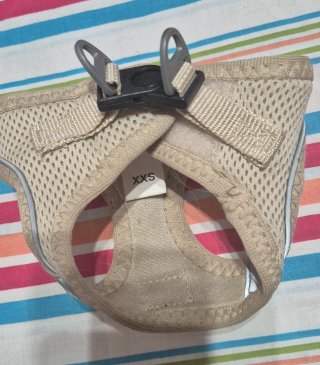 Mochila transportín perro pequeño y regalo alborno