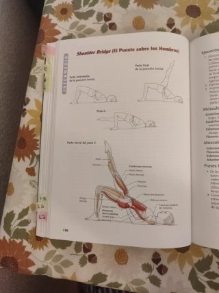 ANATOMÍA DEL PILATES