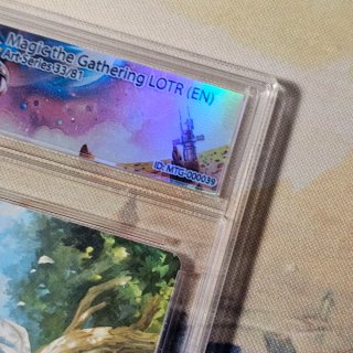 Magic The Gathering LOTR (EN) Gradata 10