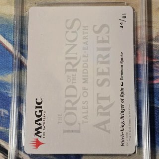 Magic The Gathering LOTR Carta Graduata 10
