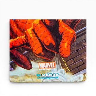 Bodyboard Spider-Man Marvel Mondo Infantil