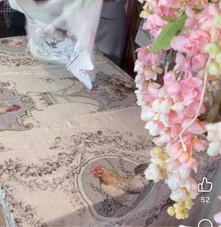 Tovaglia con galli e pulcini con gala