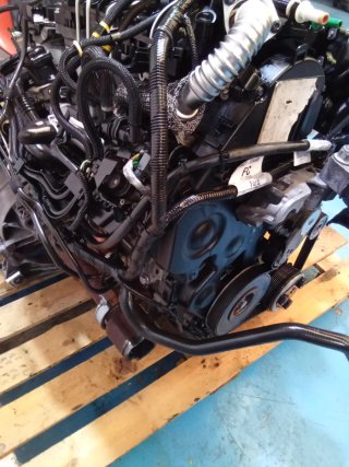 Motor Ford 1.6 TDCI 90CV HHDA Completo