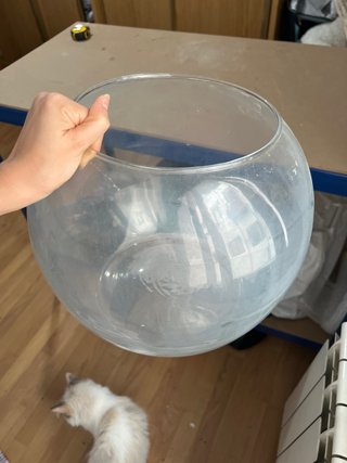 Pecera Redonda Grande de Cristal