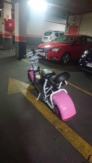 Ciclomotor Eléctrico Citycoco 2000W Doble Batería