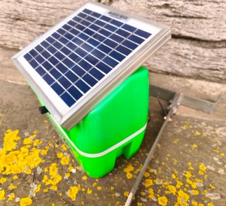 Pastor Eléctrico Solar 12V Triunfo