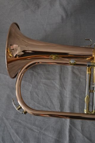Fliscorno Yamaha 631 Lacado