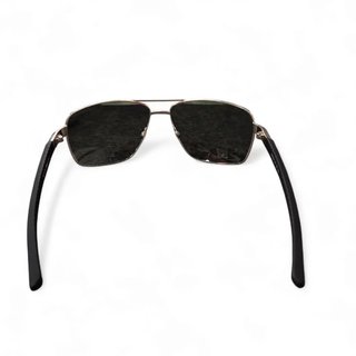 GAFAS DE SOL DALSTON D-095.66-P