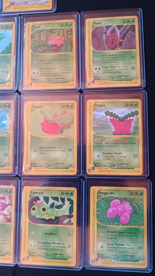 Lote Skyridge Cartas Pokemon Nintendo PSA