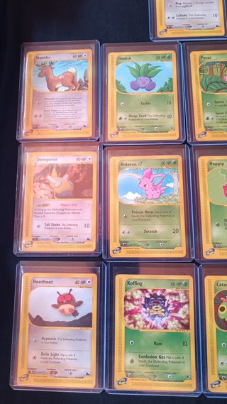 Lote Skyridge Cartas Pokemon Nintendo PSA