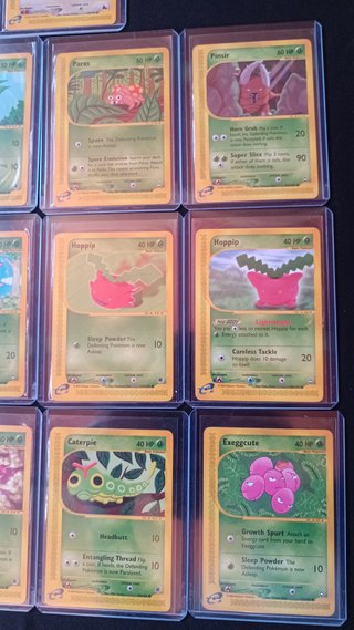 Lote Skyridge Cartas Pokemon Nintendo PSA