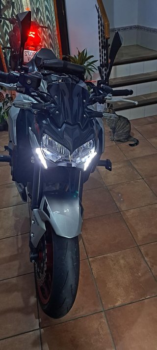 Kawasaki Z900 A2 2023