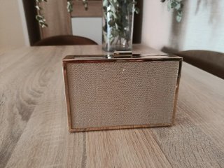 Bolso Clutch Dorado y Plateado