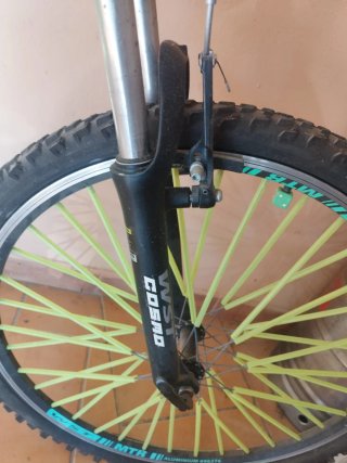 Bicicleta Montaña Verde WST