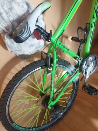 Bicicleta Montaña Verde WST