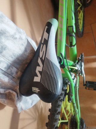Bicicleta Montaña Verde WST