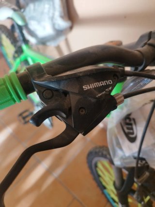 Bicicleta Montaña Verde WST