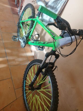 Bicicleta Montaña Verde WST