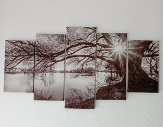 Láminas Decorativas Árbol y Río