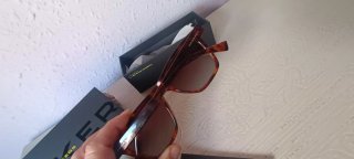 Gafas de sol Hawkers Tortoise