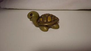 Mini Tartaruga Thun