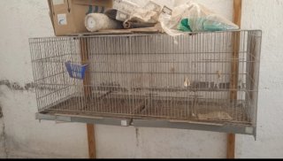 Jaulas de cría para pájaros