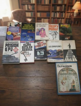 ​Lote de 11 Libros Clásicos - Novela, Misterio y M