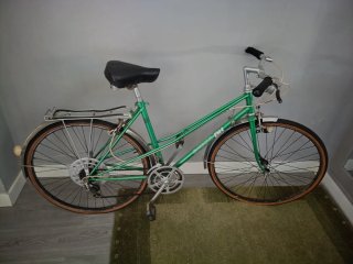 Bicicleta Gacela Verde