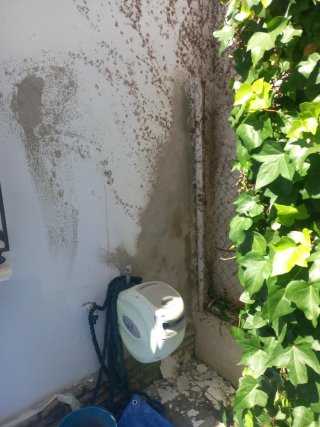 Pintores a domicilio