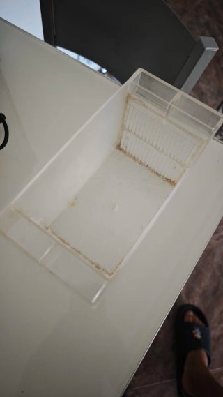 Pecera y accesorios varios