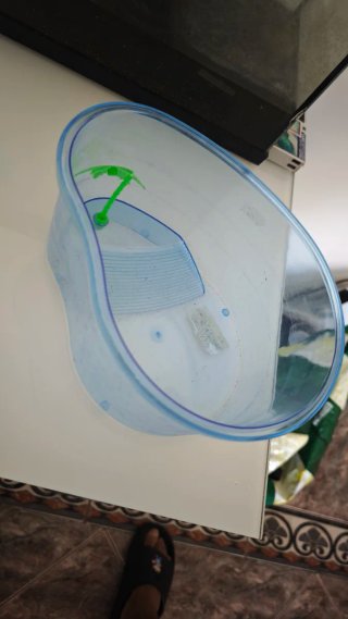Pecera y accesorios varios