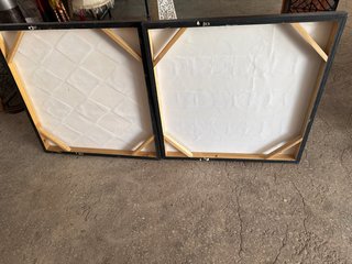 2 Quadri Decorativi Astratti