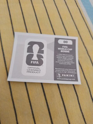 Cromo Panini Fútbol