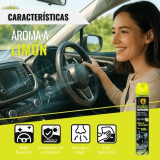 SPSIL Limpia y Encera Salpicaderos Coche