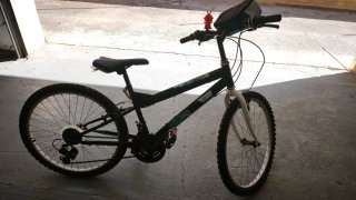 Bicicleta infantil negra